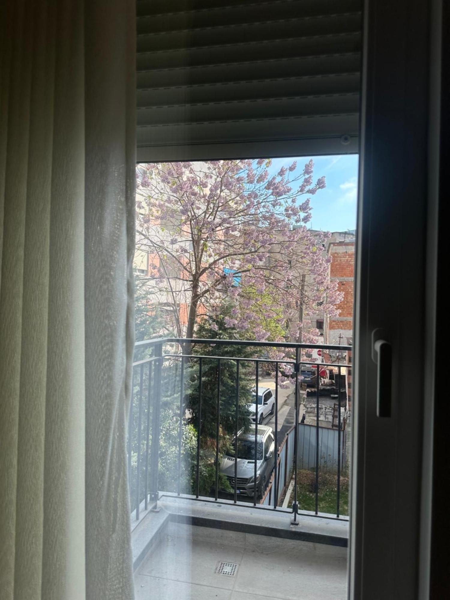 Apartmán Labi